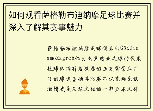 如何观看萨格勒布迪纳摩足球比赛并深入了解其赛事魅力